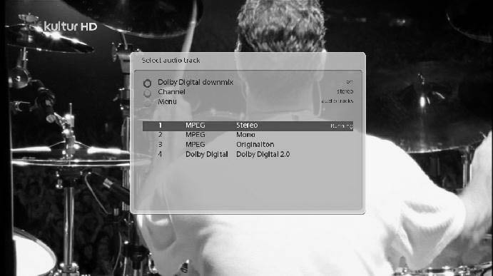 Selecting Audio Track.jpg