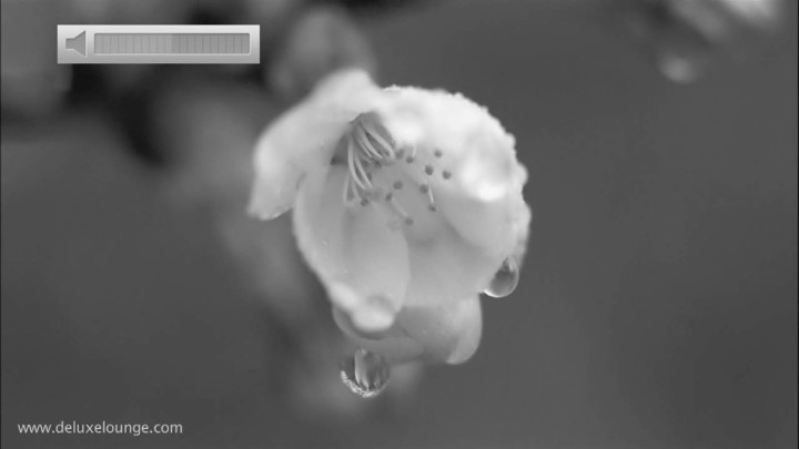 screenshot 27.jpg