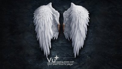 e2_vu_Angel_Wings_2.jpg